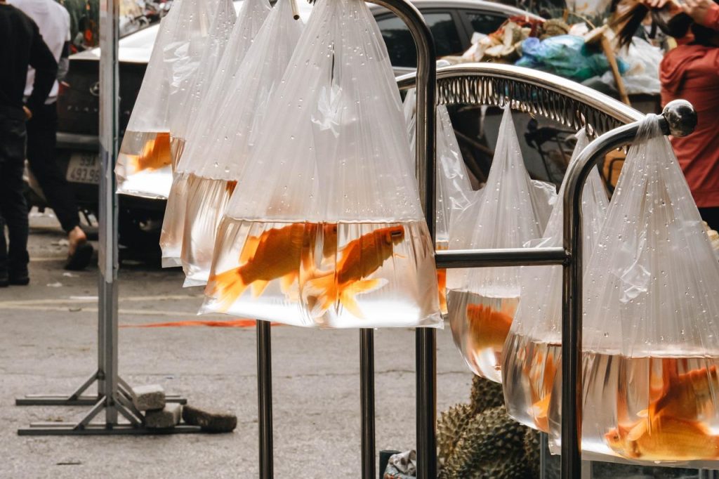 Dierenwinkel in Kerkrade met vriendelijke medewerkers en uitgebreid assortiment voeding en verzorgingsproducten voor gelukkig