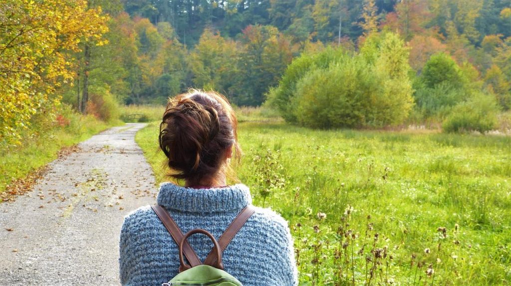 Gids voor ongeschreven regels van natuurlijke psychedelica met informatie over veilig en verantwoord gebruik in smartshops