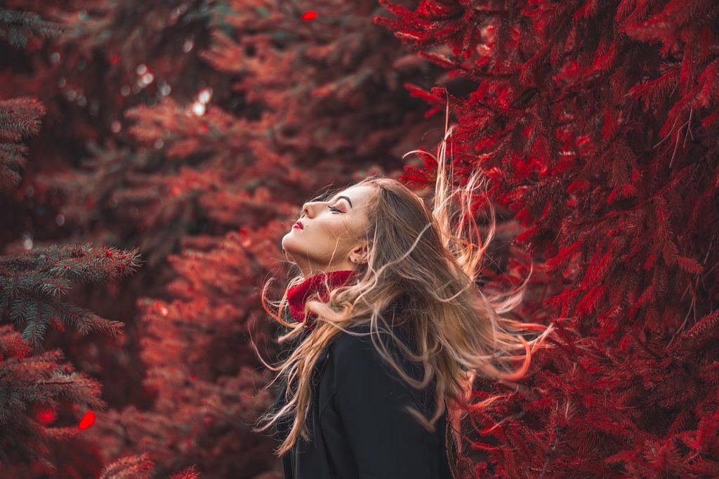 Illustratie met de basisprincipes van haarverzorging: shampoo, conditioner, haarmasker en hittebescherming